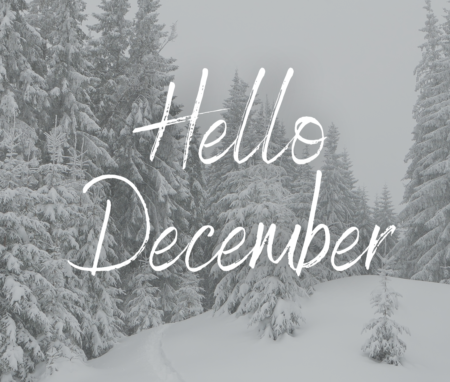December December